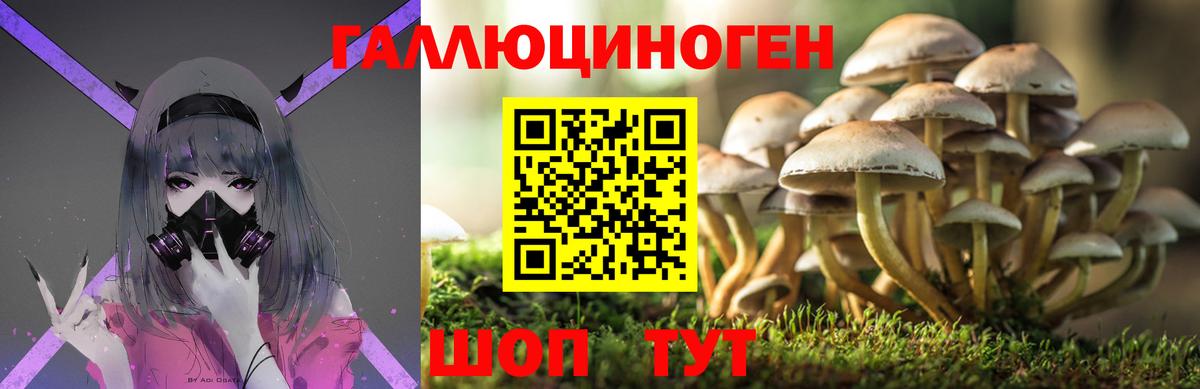 Клинцы  Псилоцибиновые грибы Psilocybe  сколько стоит  Вход с VPN 